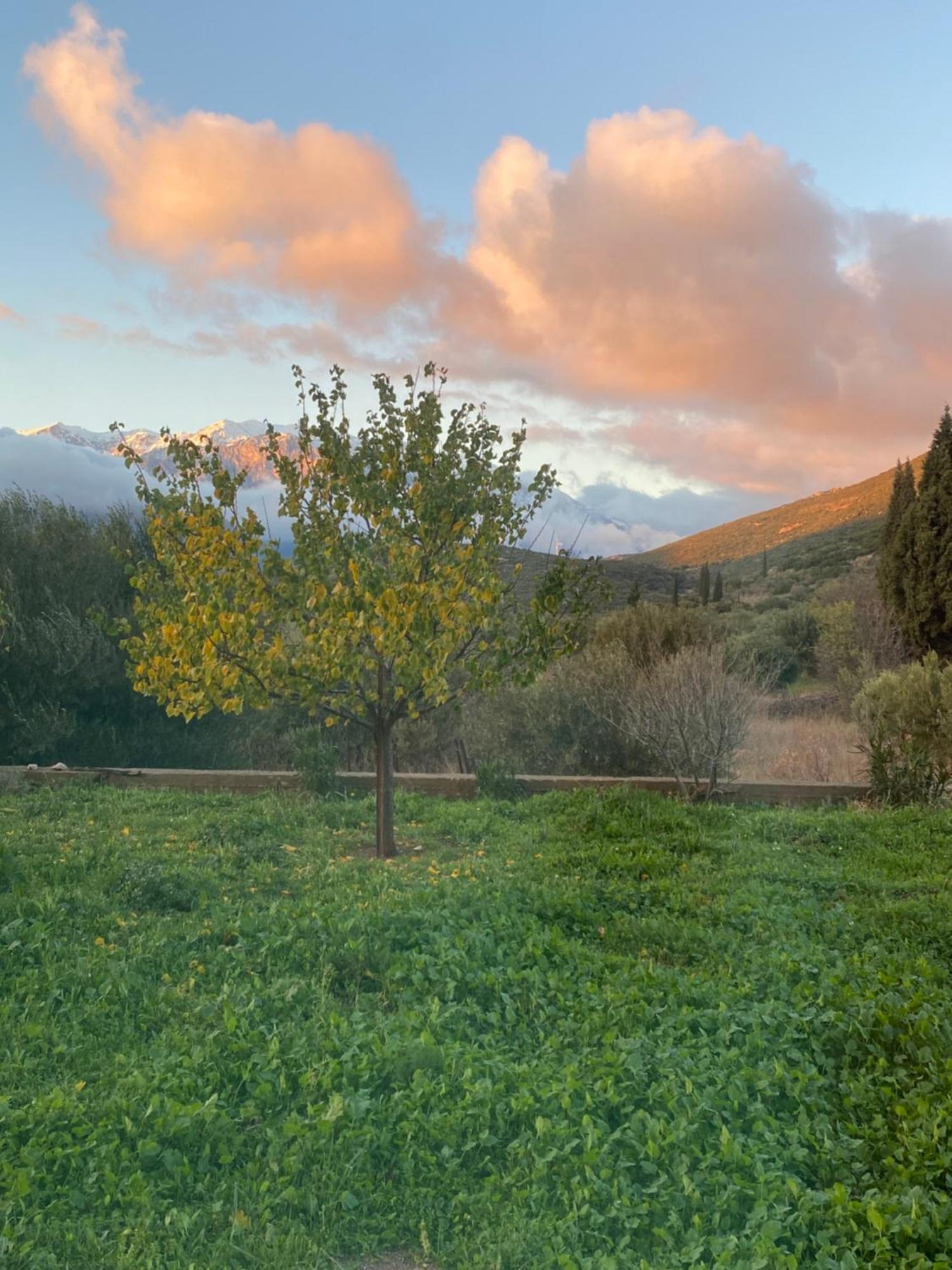 Stellas Guesthouse Near Arachova Stirion Exterior photo